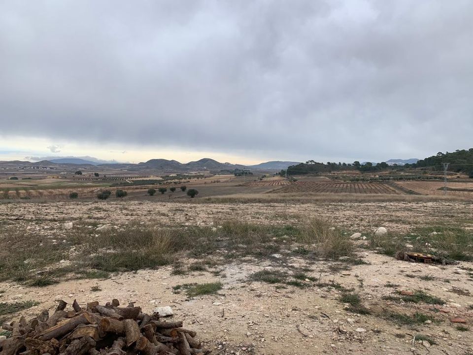 Helårsgrund i Pinoso, Alicante - foto 5